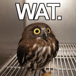 Meet your Posher, Chad